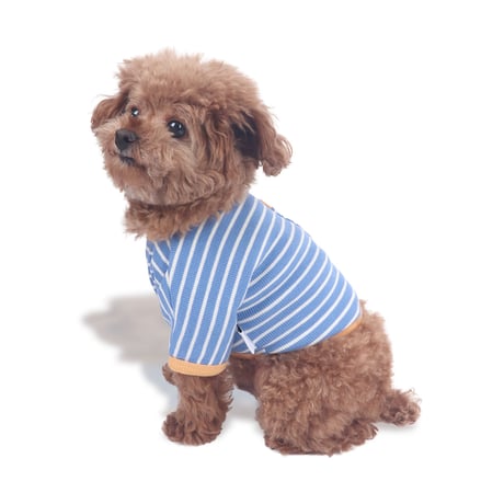 【即納】　Pocket Bites Crop Top_Pretzel
