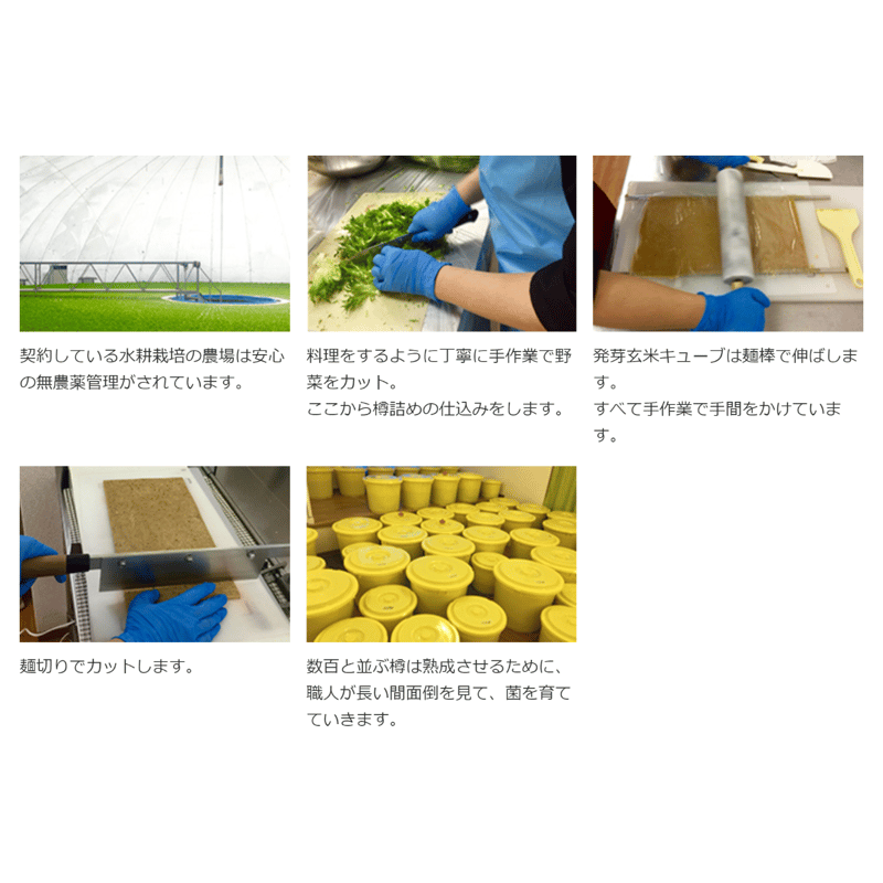 酵素100 ナチュラルエンザイム 200g(60包入 分包タイプ) 新品 DMエンザイム60包入り【2個】 / DMエンザイム