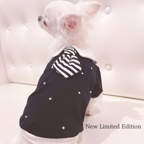 【即納】 Special Stripe tie Arnold