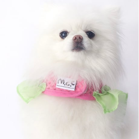 【即納】　Lazy Farm Mesh Harness