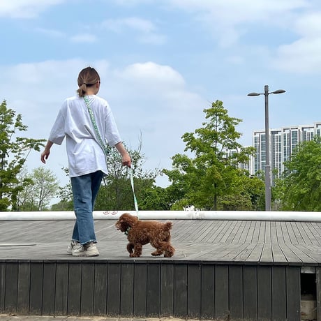 【即納】　Walk with dog_Plastic Bag