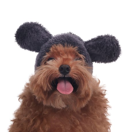 Dusty Beaver Hat