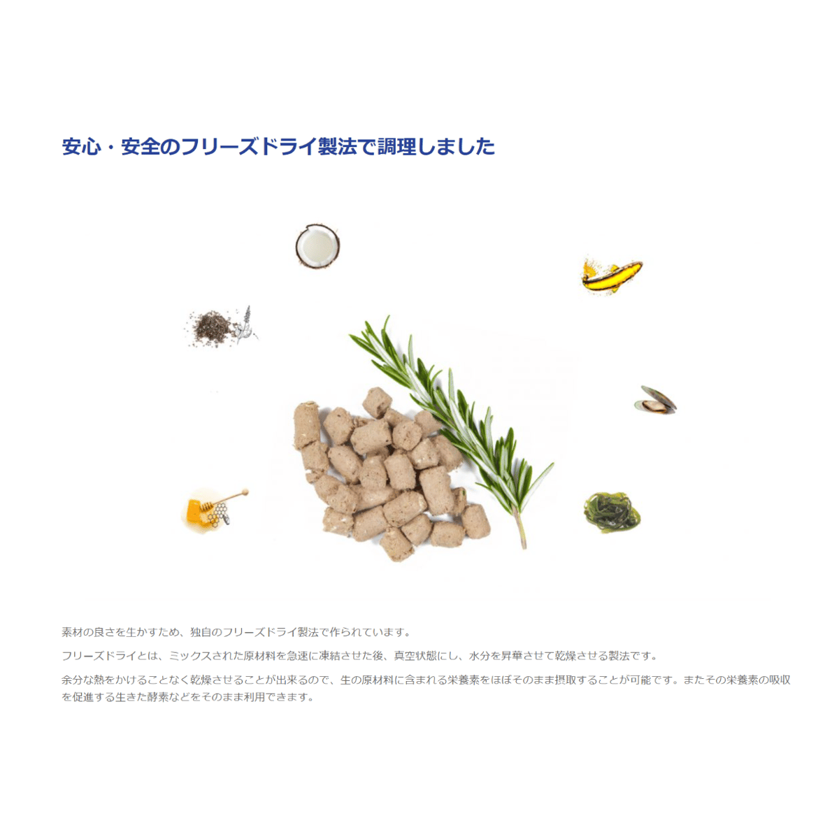 WOOF ワフ フリーズドライドッグフード ビーフ 280g | Chuck's TOKYO