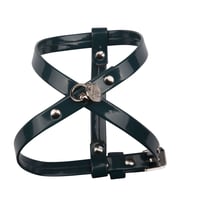Art. g1141N harness So Chic adjustable (シルバー仕様)
