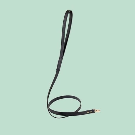 Balley Dog Leash BLACK