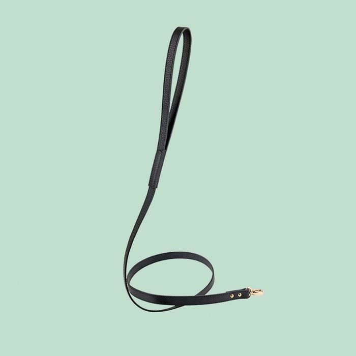 Balley Dog Leash BLACK | Chuck's TOKYO Boutique