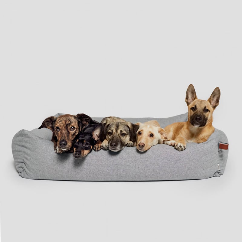 Chuck it top dog bed