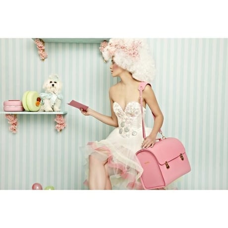 Wonder Nest Pet Travel Bag  PINK