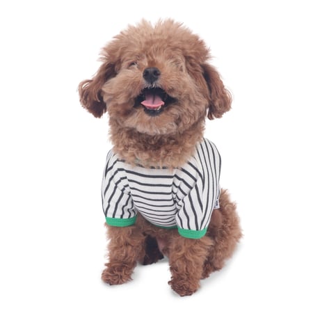 【即納】　Pocket Bites Crop Top_Apple