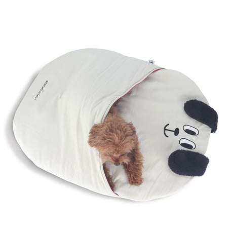 Lucky Dog Fogni