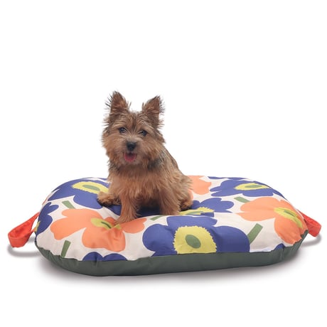 CATEGORY ベッド/ステップ | Chuck's TOKYO Boutique