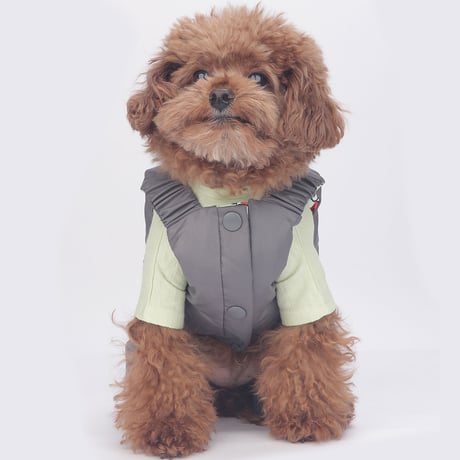 Ordinary Dog Reversible Jumpsuit