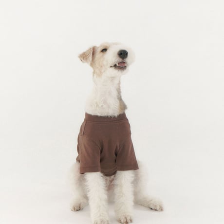 MINI WAPPEN TEE-LIGHT BROWN