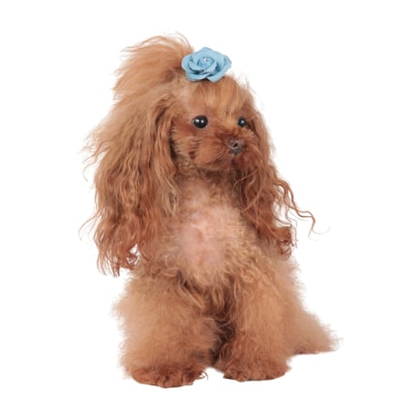 Art. A136N hair-clip Camelia in jeans