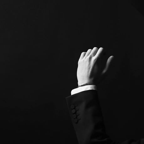 NOTCH LAPEL 2BS SUPER'120 BLACK JACKET