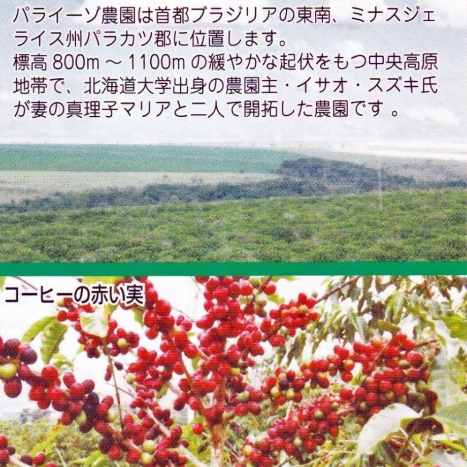 5caf3e6ea894526a31dd8638