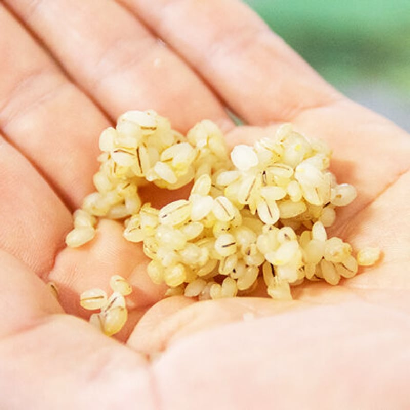 EM醤油麹150g / EM塩麹150g | EMキッチン世田谷