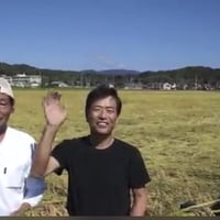 【売り切れ】EM美味米 滋賀県産コシヒカリ 玄米/白米　20kg