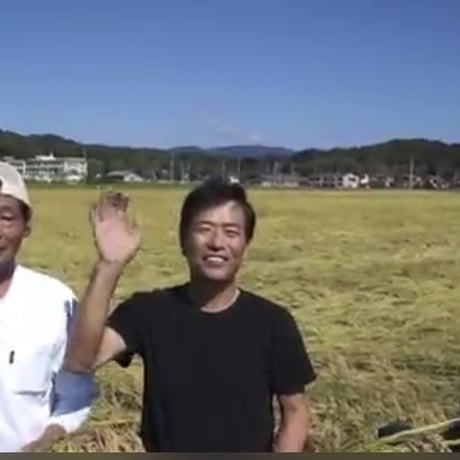 【売り切れ】EM美味米 滋賀県産コシヒカリ 玄米/白米　20kg