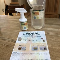 【販売修了】EMURAL エムラル天然洗浄液 300mlスプレー