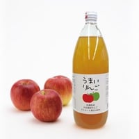 【在庫1 次回2024.12入荷予定　別送便】EM栽培 りんご100%ストレートジュース1L×12本