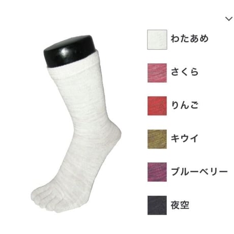 5本指 EMソックスレギュラー 彩（いろどり）22-24cm