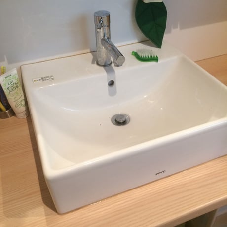 水だけ コレカラのフキン（葉っぱ型スポンジ）