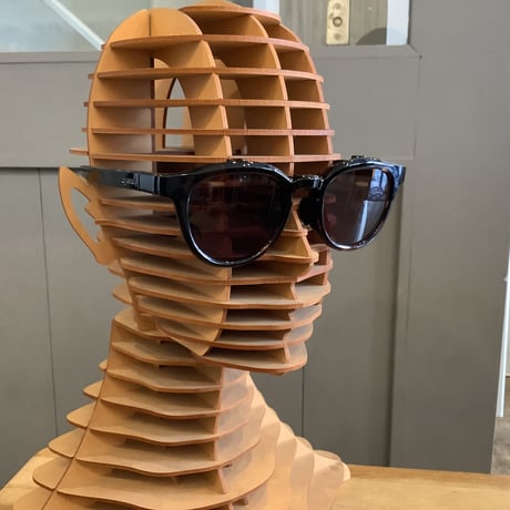 EYEVOL アイヴォル　LEIFERⅢ(51)-FP DM-DG