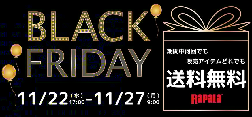 E shop black friday discount