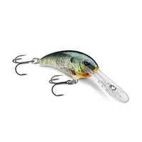 SDD4 SHAD DANCER 4（シャッドダンサー）
