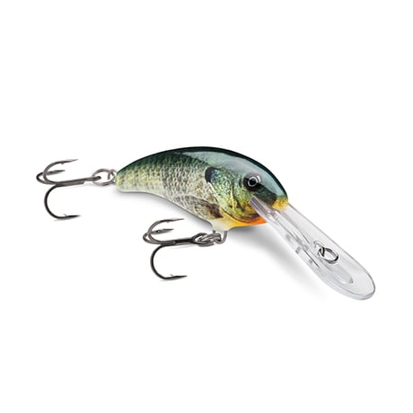 SDD4 SHAD DANCER 4（シャッドダンサー）