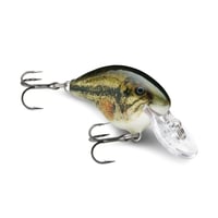 DT4　DT（ダイブス トゥ）