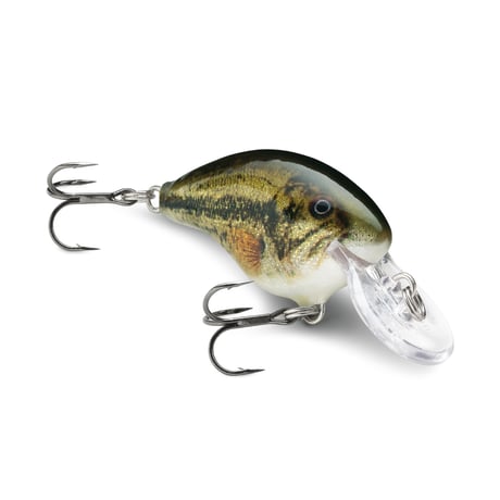 バルサルアー | STORES