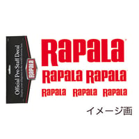 RDD1 オフィシャル プロ スタッフ ディカル
