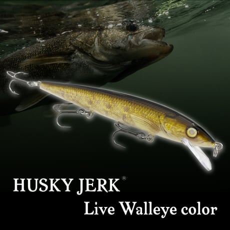 100周年限定　ラパラ　LR100 6本　全色コンプリート 204_1_800.jpg?20050809205454