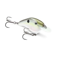 OGS6　OG SLIM 6（オットズガレージ　スリム6）