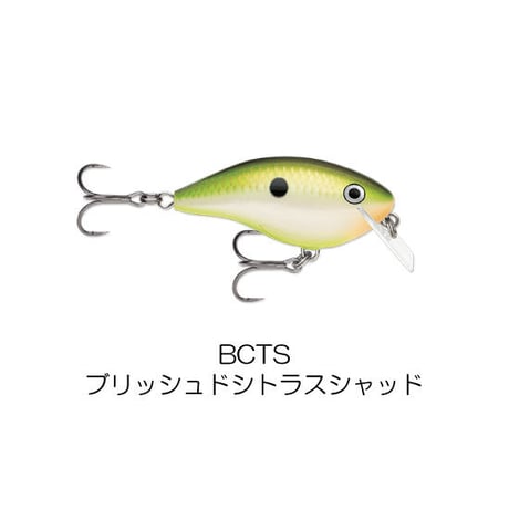 OGR5　OG ROCCO5（オットズガレージ　ロッコ5）