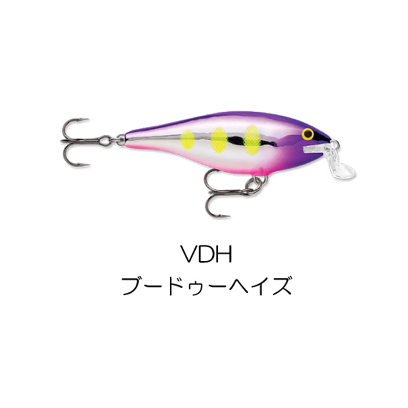 Rapala SSR クランクベイト 5個セット Rapala SSR クランクベイト 5個セット クランクベイト - HONEYSPOT