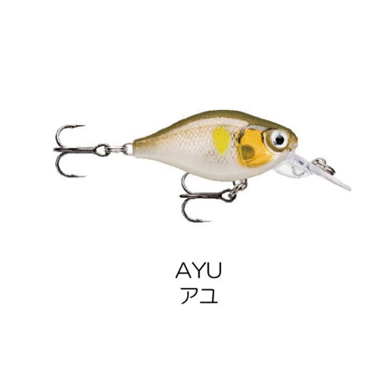 グランスキン３点セット アゼリアサイクル「CONTINENTAL GRAND PRIX 5000S TR TRANSPARENT SKIN