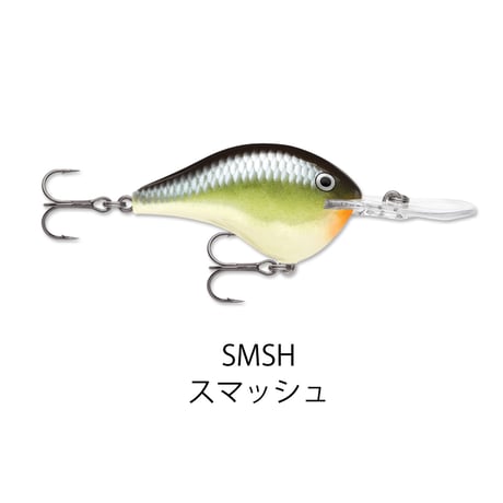 DT16　DT（ダイブス トゥ）