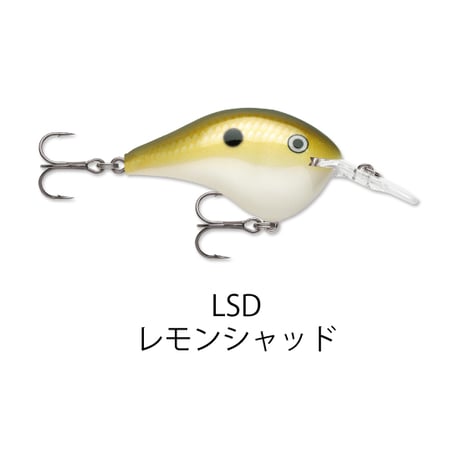 DT6　DT（ダイブス トゥ）