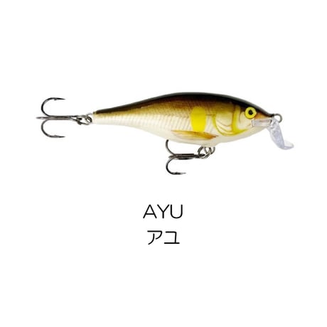 SSR5　SHALLOW SHAD RAP （シャロー シャッド ラップ）