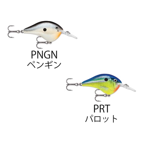DT6　DT（ダイブス トゥ）