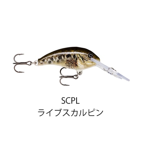 SDD4 SHAD DANCER 4（シャッドダンサー）