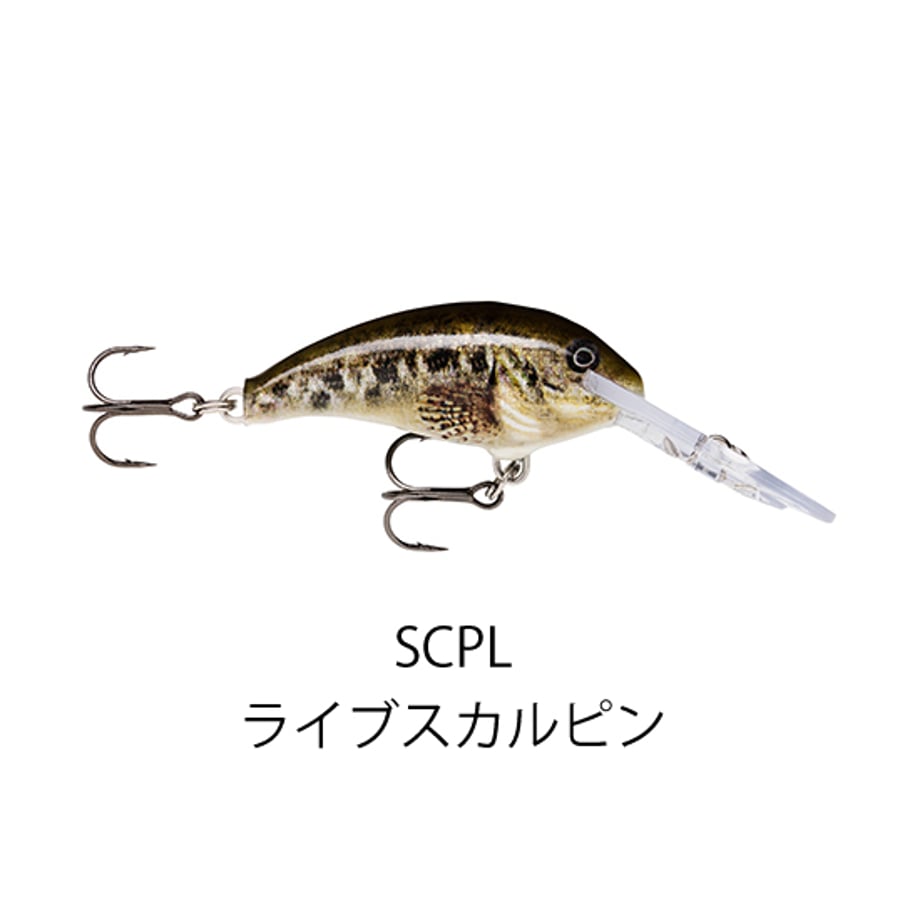 681c40f047015e3068e2fdc8