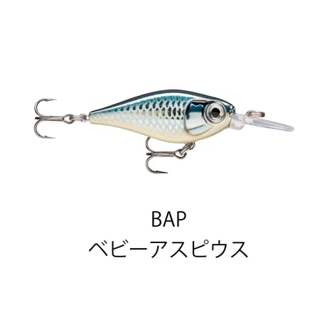 FNS4　X-LIGHT SHAD（エックスライト シャッド）