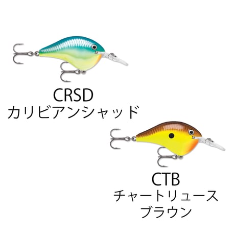 DT6　DT（ダイブス トゥ）