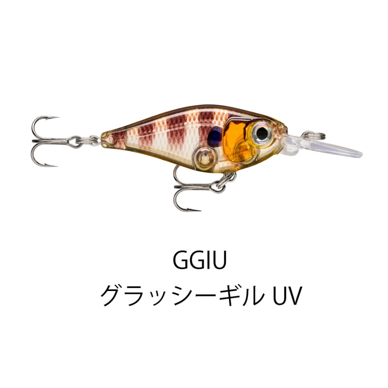 FNS4 X-LIGHT SHAD（エックスライト シャッド） | Rapala-e-shop