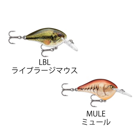 DT4　DT（ダイブス トゥ）