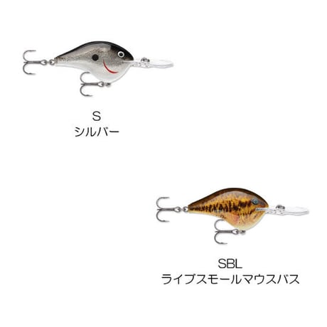 DT8　DT（ダイブス トゥ）